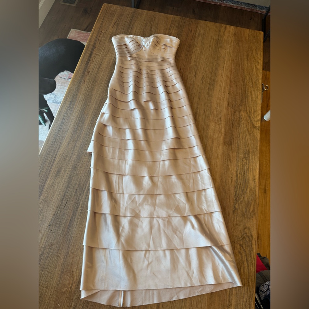 BCBG Max Azria Strapless Gown